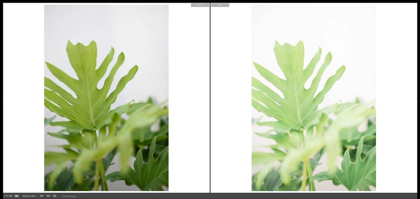 Lightroom Mobile Preset - Everyday Airy