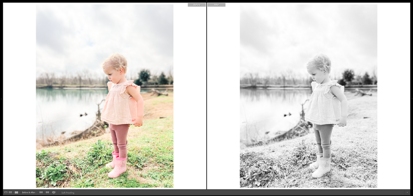 Lightroom Mobile Preset - Everyday Airy